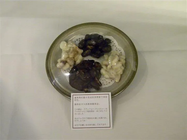 仕德福酒店 香港 酒店